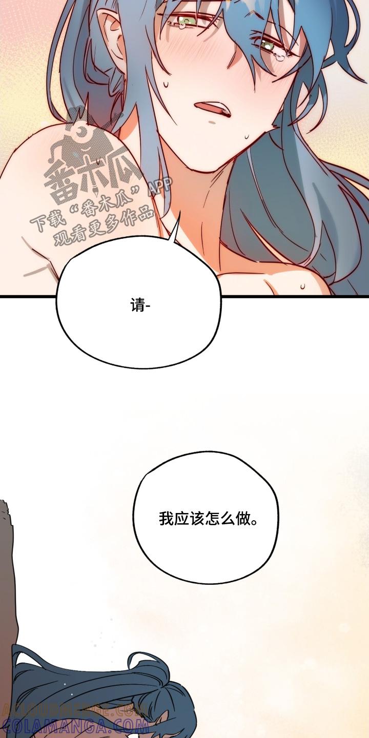 《游戏梦想世界》第42章：是我的错 第9页