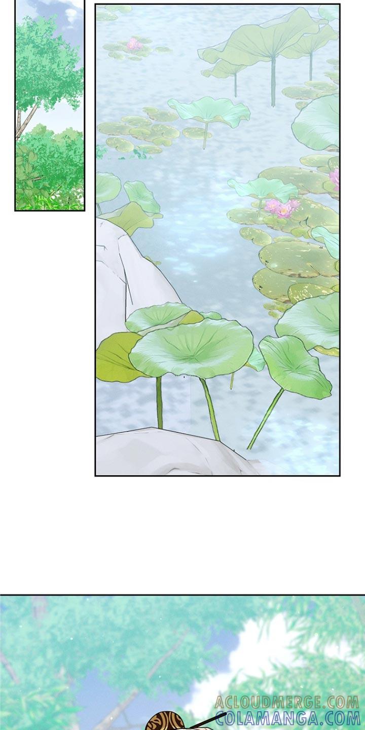 《陆地灵药》第52章：没有记忆 第11页