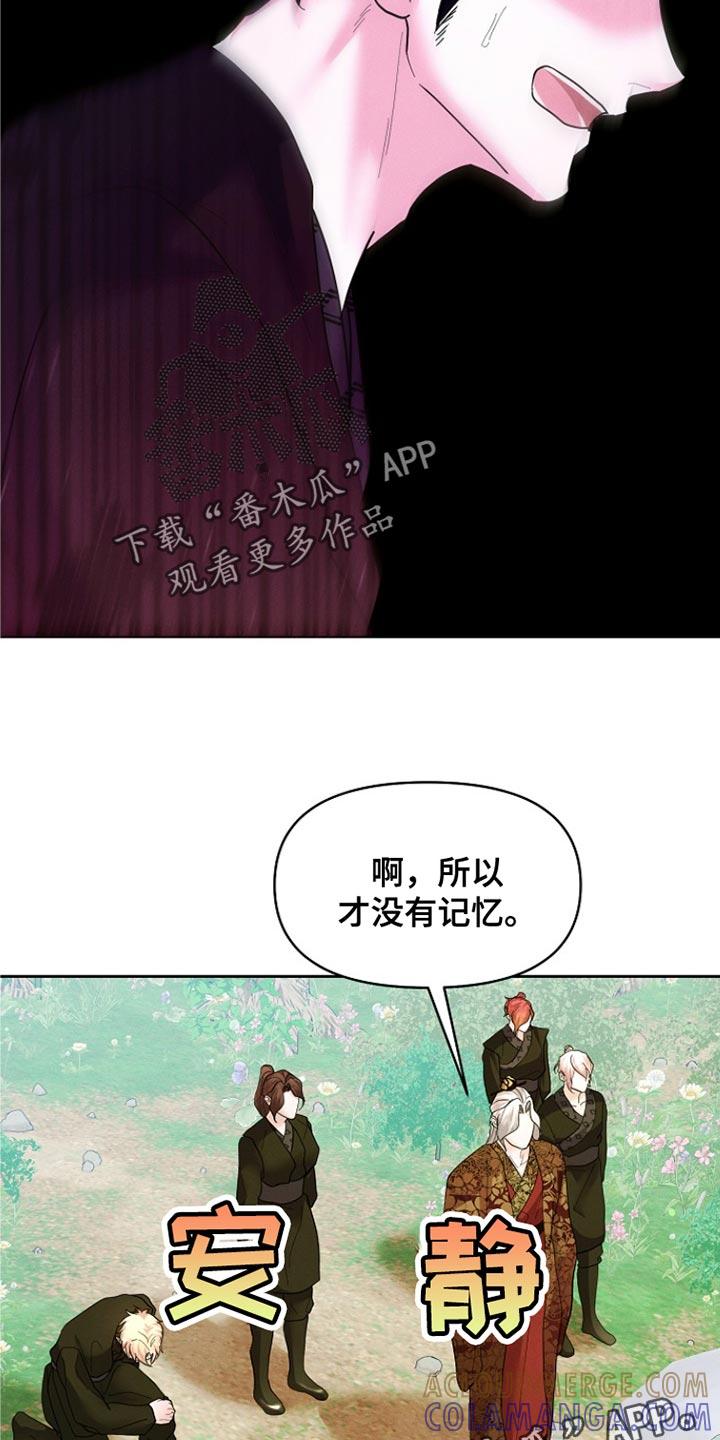 《陆地灵药》第52章：没有记忆 第27页