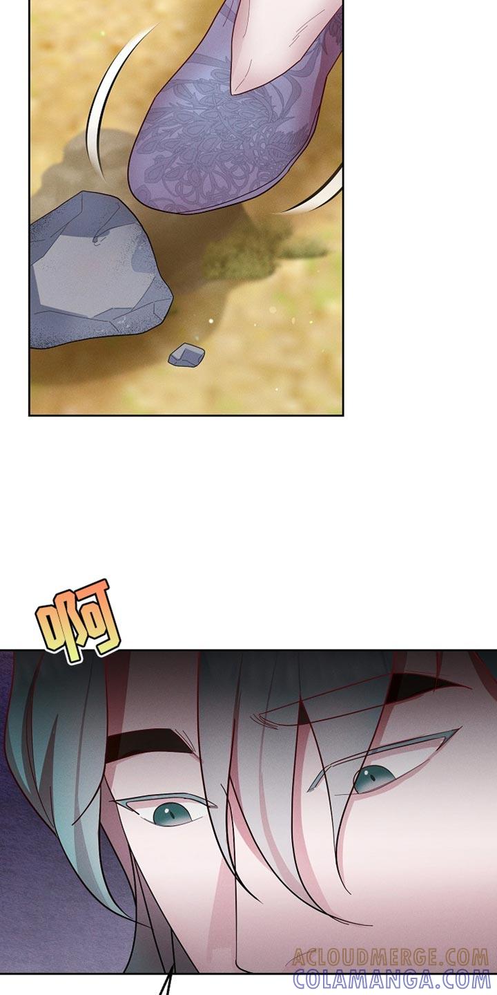 《陆地灵药》第67章：做好一切准备 第25页