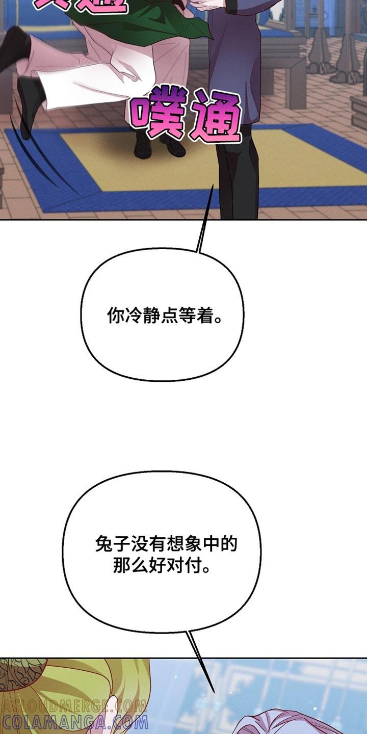 《陆地灵药》第67章：做好一切准备 第7页