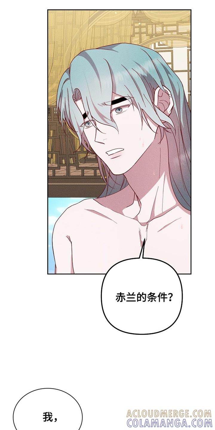 《陆地灵药》第76章：我的条件 第21页