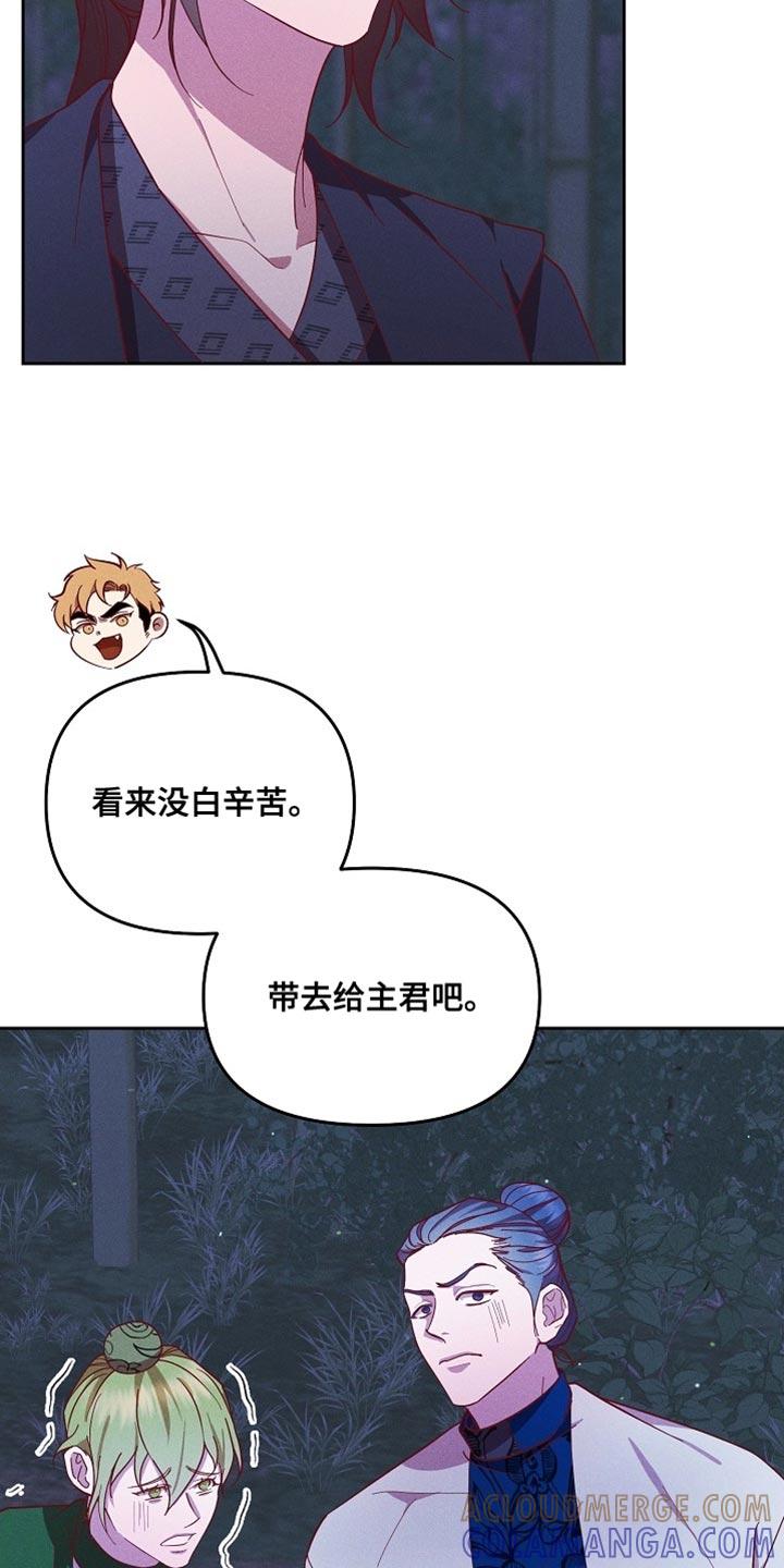 《陆地灵药》第81章：【第二季】没准会喜欢 第29页