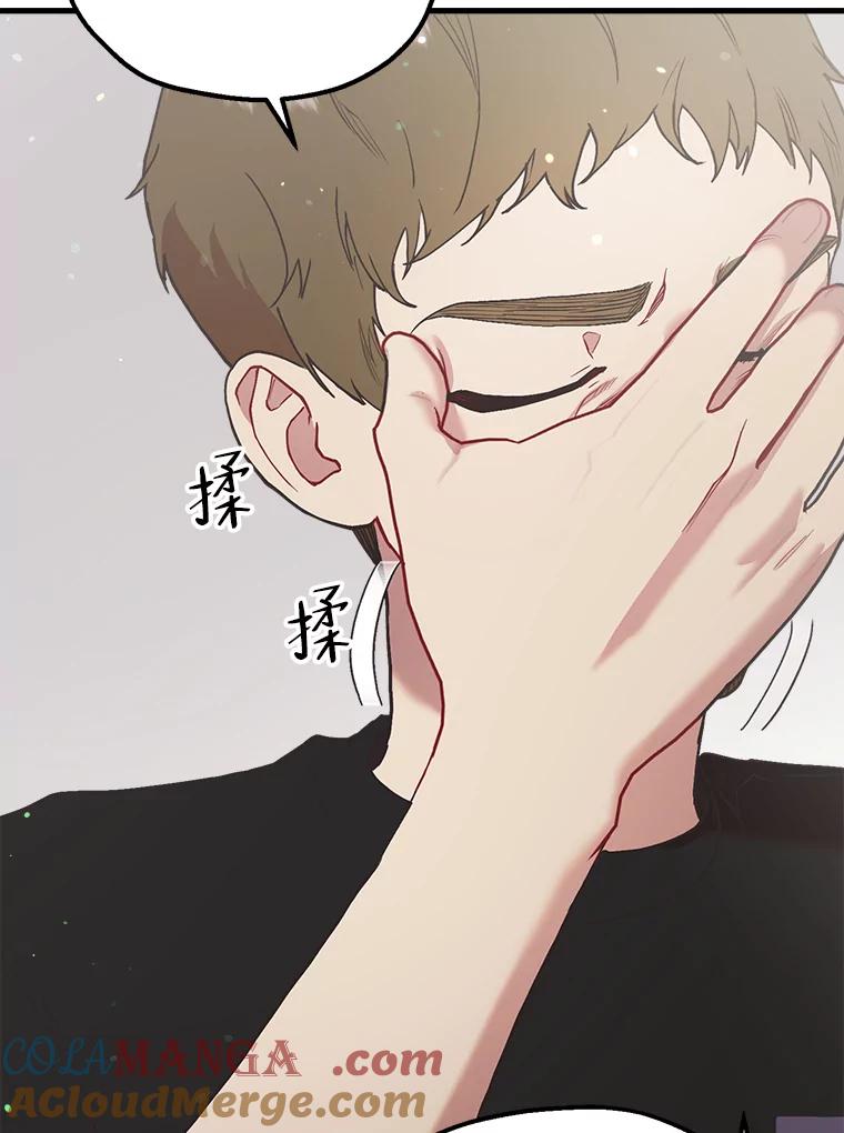 《第二个丈夫》38.往事 第17页