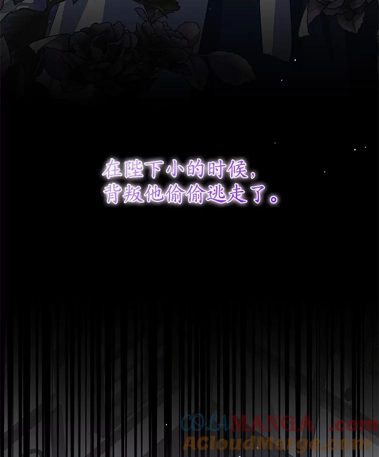 《我从没抛弃过陛下》7.谣言 第101页