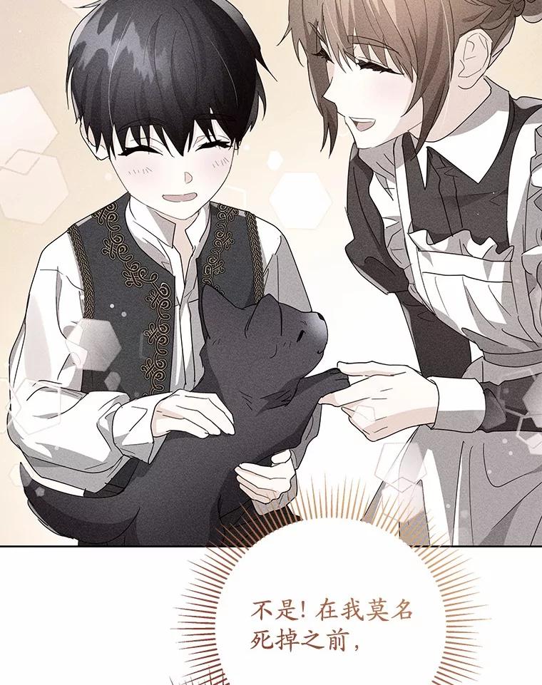 《我从没抛弃过陛下》7.谣言 第95页