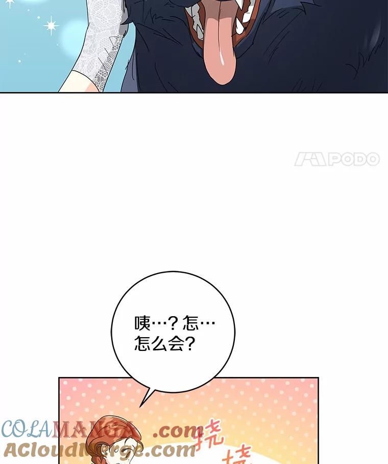 《我从没抛弃过陛下》8.是我疯了 第19页