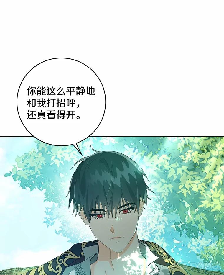 《我从没抛弃过陛下》8.是我疯了 第30页