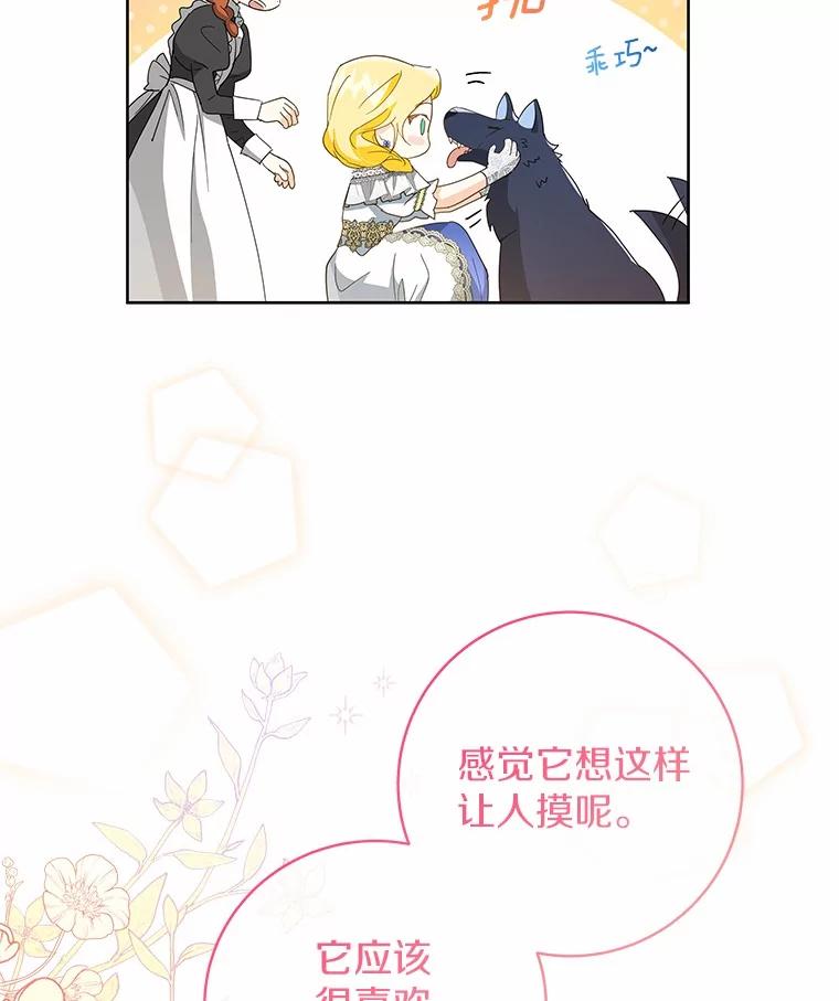 《我从没抛弃过陛下》8.是我疯了 第20页
