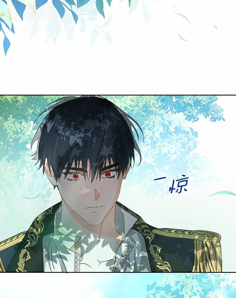 《我从没抛弃过陛下》8.是我疯了 第95页