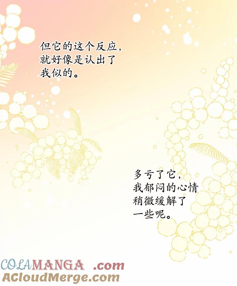 《我从没抛弃过陛下》8.是我疯了 第25页