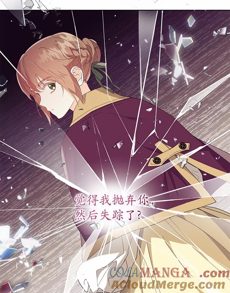 《我从没抛弃过陛下》8.是我疯了 第79页