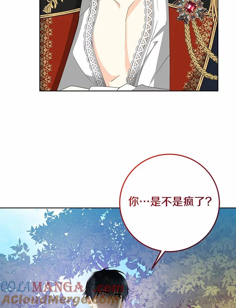 《我从没抛弃过陛下》8.是我疯了 第88页