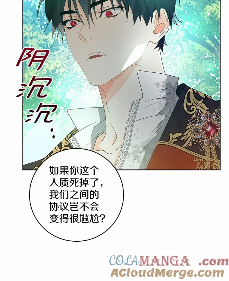 《我从没抛弃过陛下》8.是我疯了 第34页