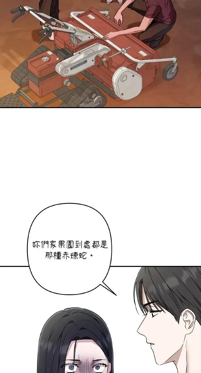 《春之影》第32话 第78页