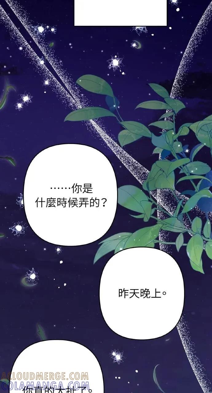 《春之影》第33话 第34页