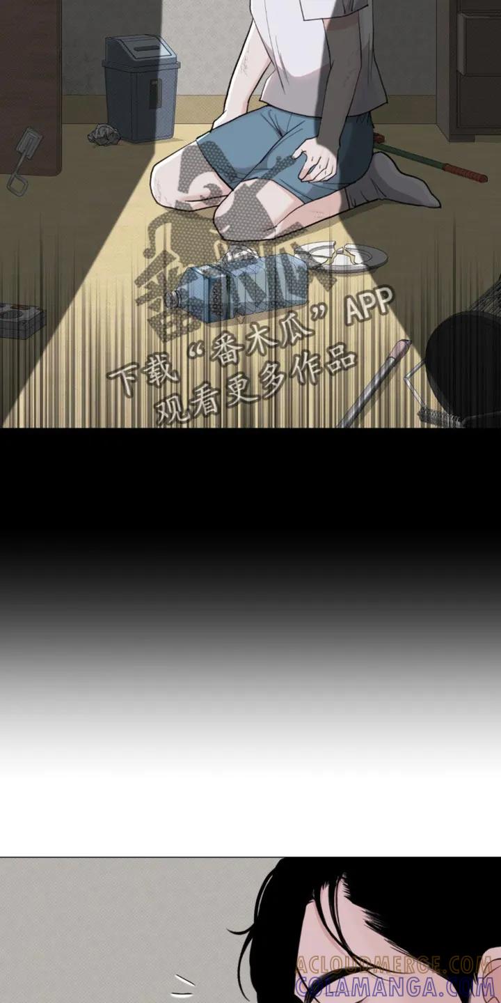 《海岛人生》第42章：我早就知道了 第3页