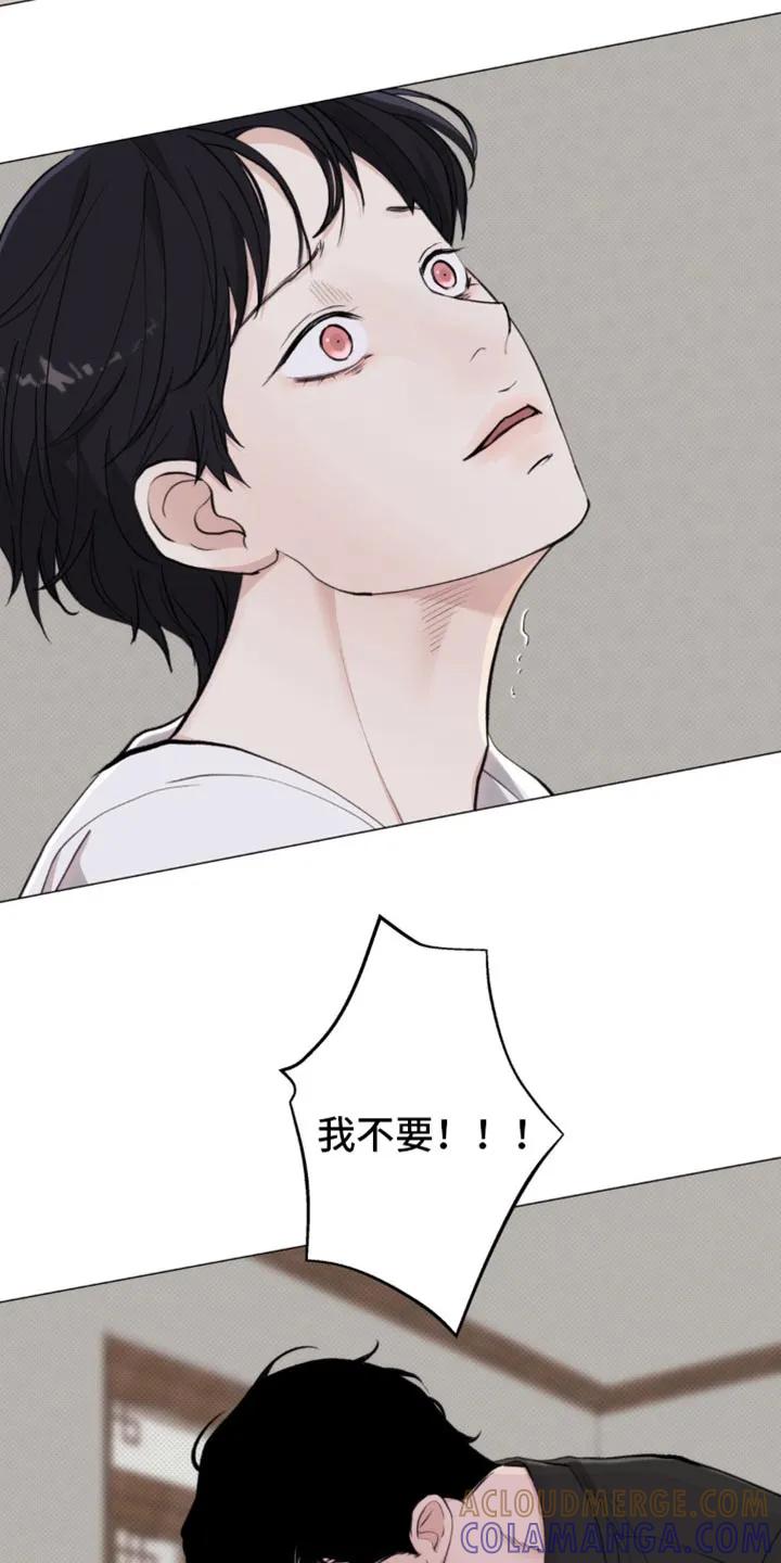 《海岛人生》第42章：我早就知道了 第11页