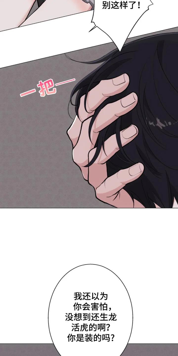 《海岛人生》第43章：傲气 第4页
