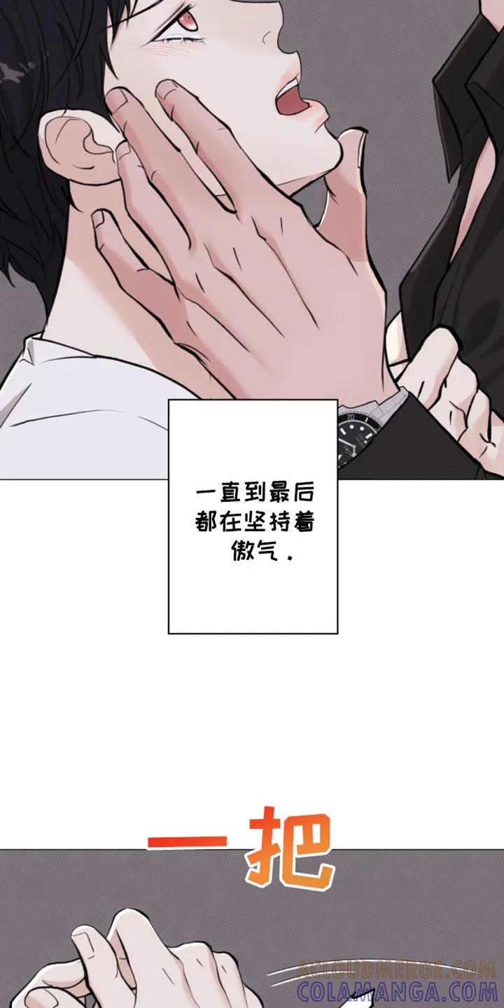 《海岛人生》第43章：傲气 第7页