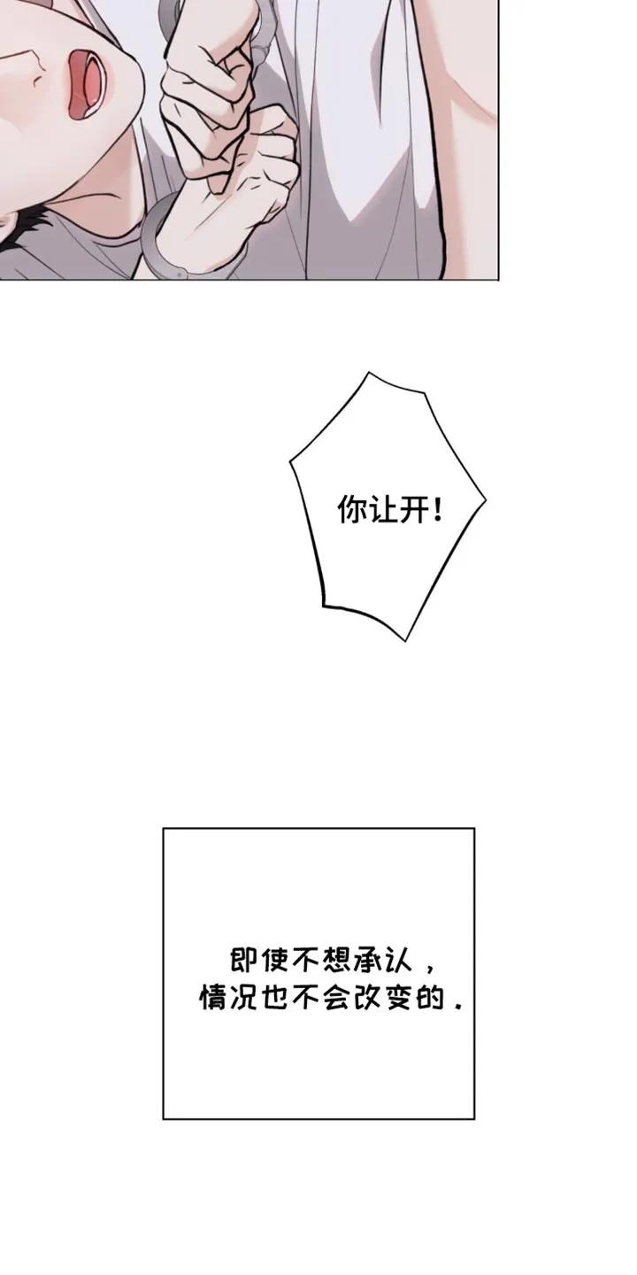 《海岛人生》第44章：亲切的错觉 第6页