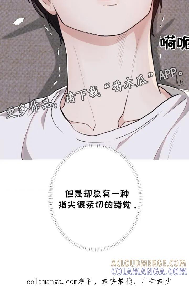 《海岛人生》第44章：亲切的错觉 第19页