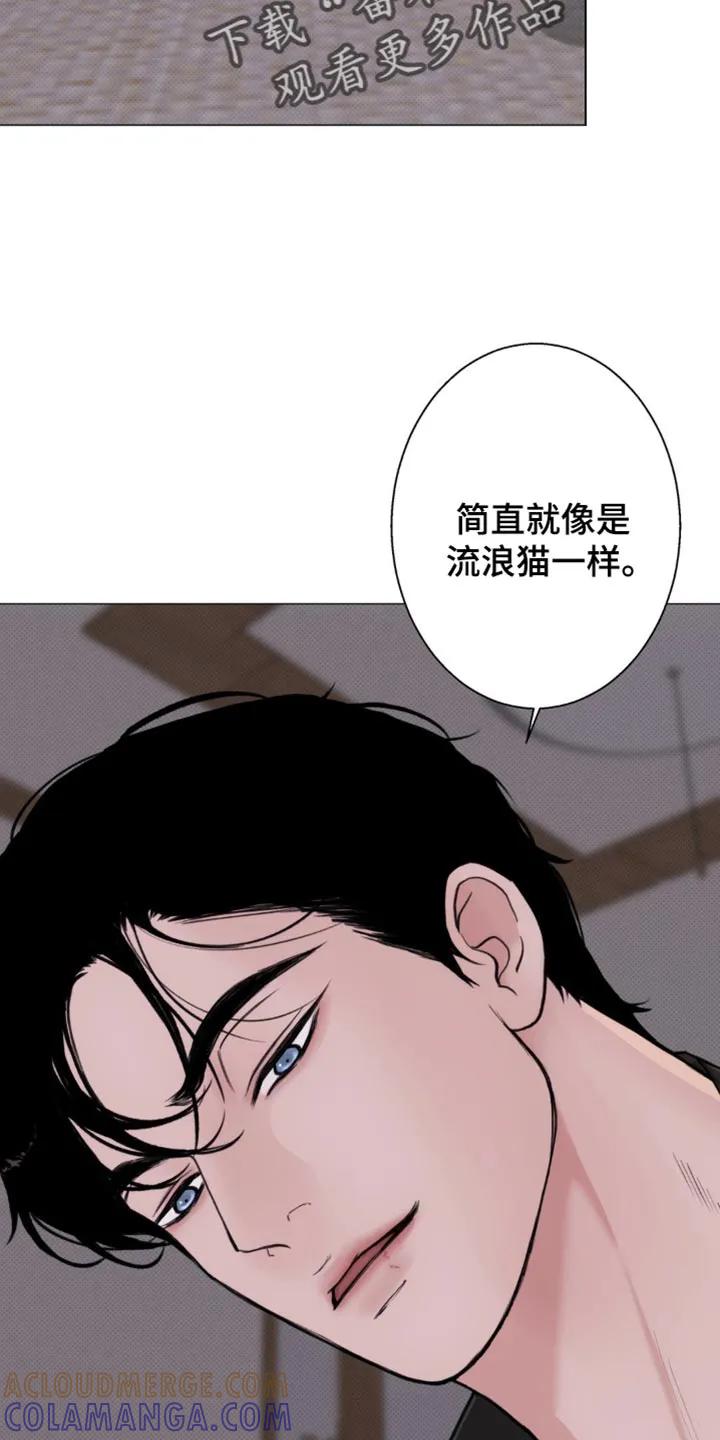《海岛人生》第44章：亲切的错觉 第9页