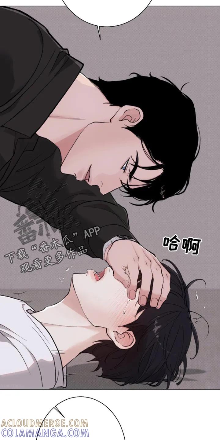 《海岛人生》第44章：亲切的错觉 第17页