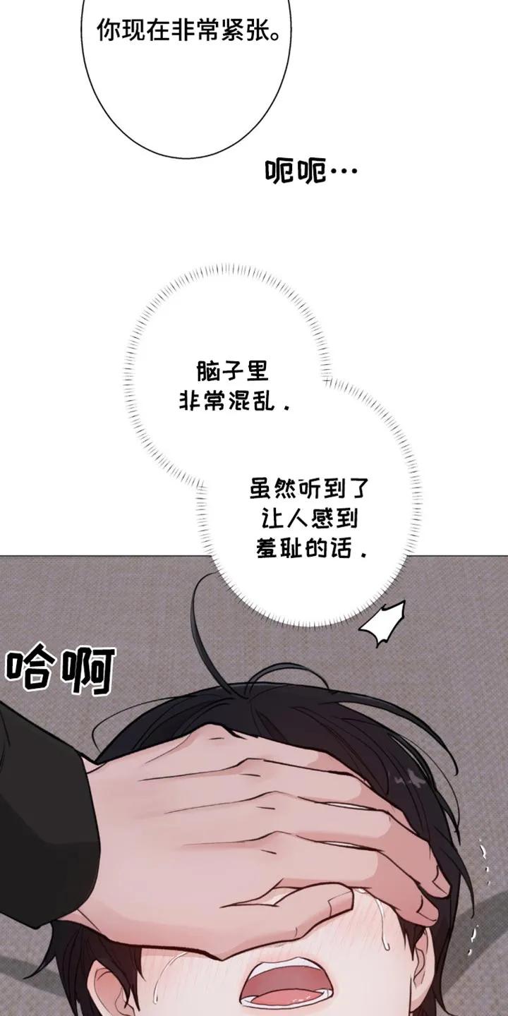 《海岛人生》第44章：亲切的错觉 第18页