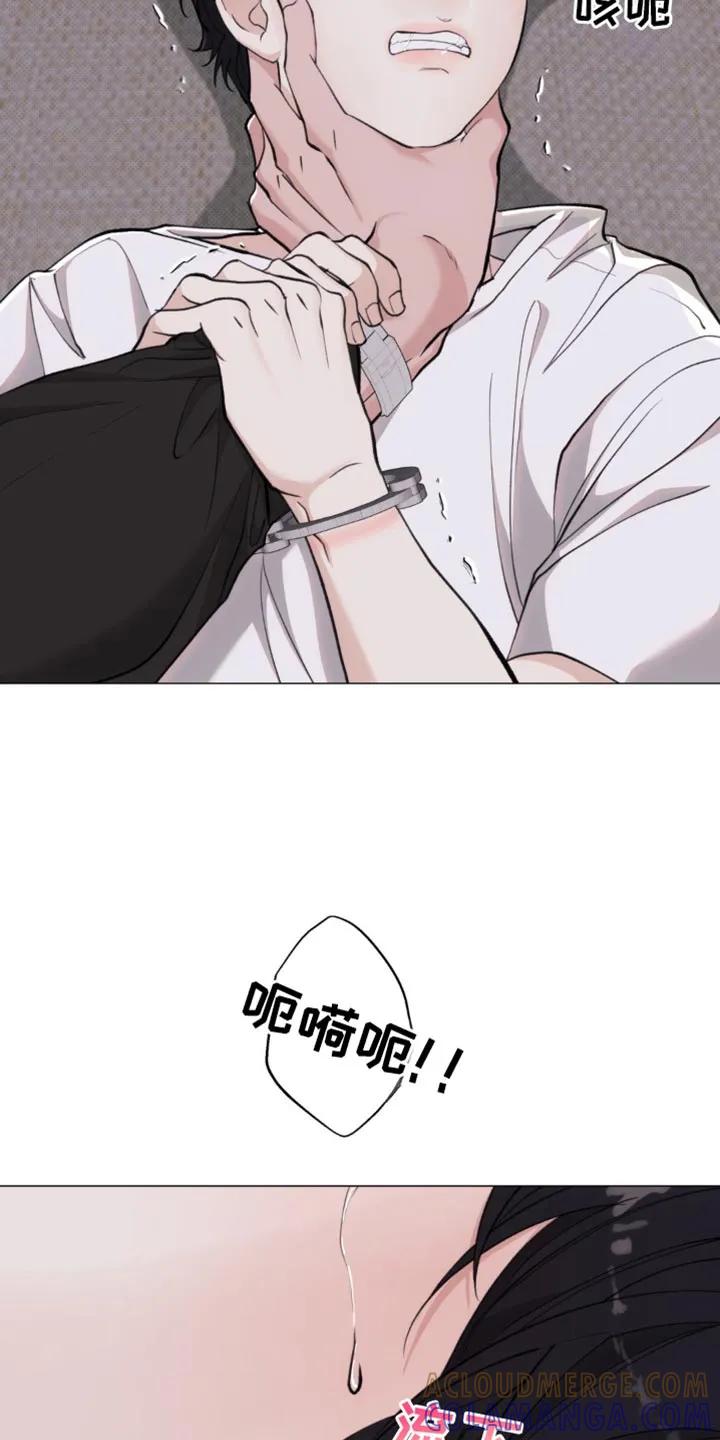 《海岛人生》第44章：亲切的错觉 第11页