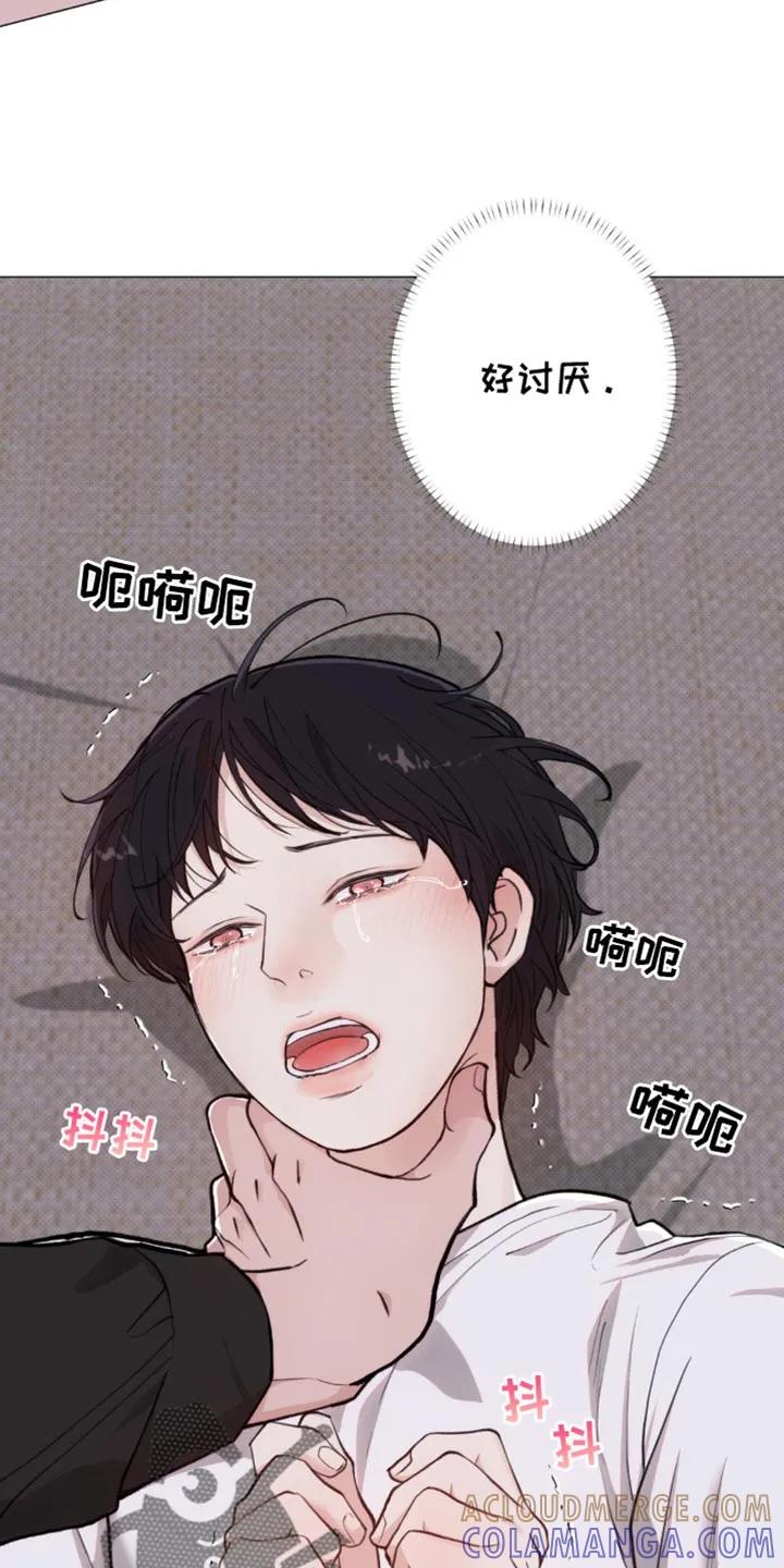 《海岛人生》第44章：亲切的错觉 第13页