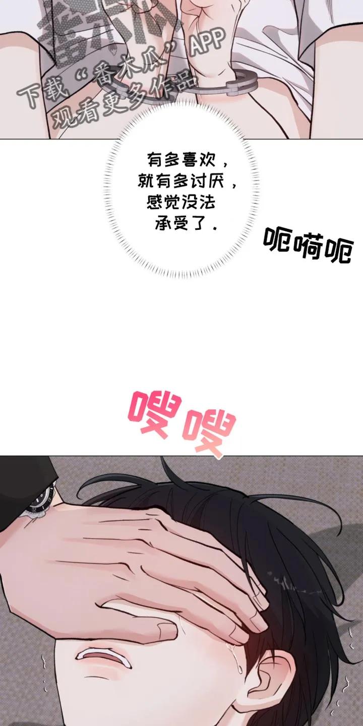 《海岛人生》第44章：亲切的错觉 第14页