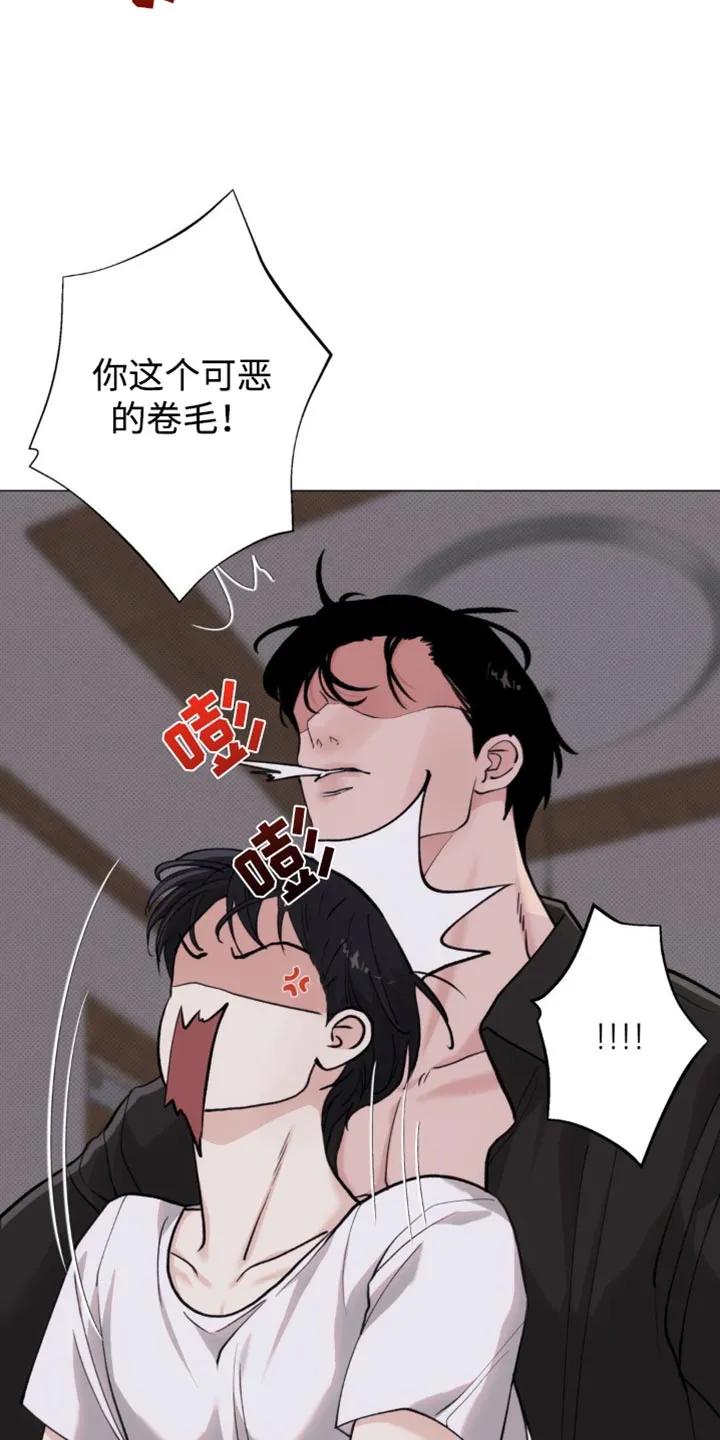 《海岛人生》第45章：我会离开 第4页