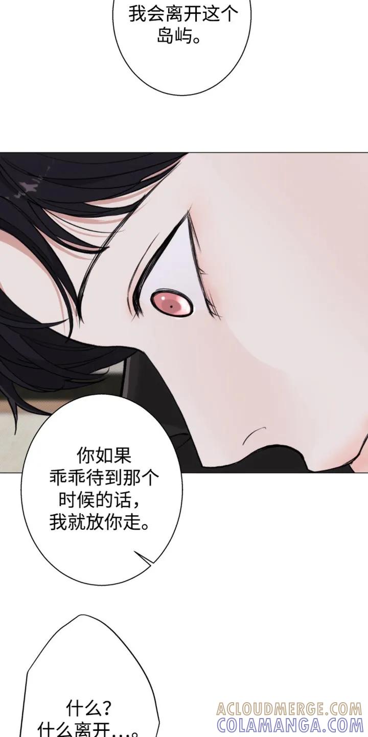 《海岛人生》第45章：我会离开 第13页