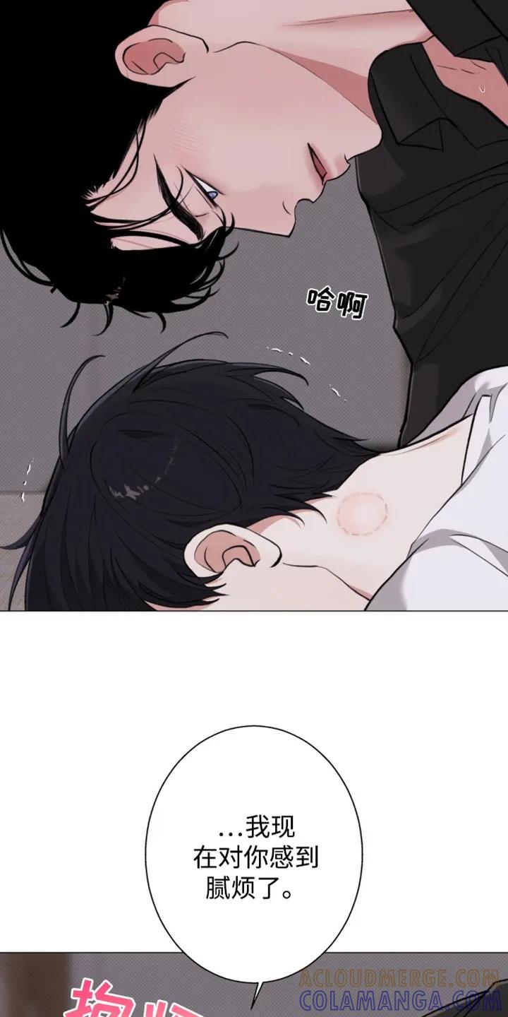 《海岛人生》第45章：我会离开 第11页