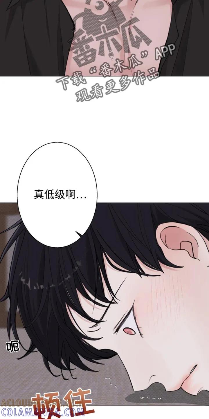 《海岛人生》第45章：我会离开 第3页