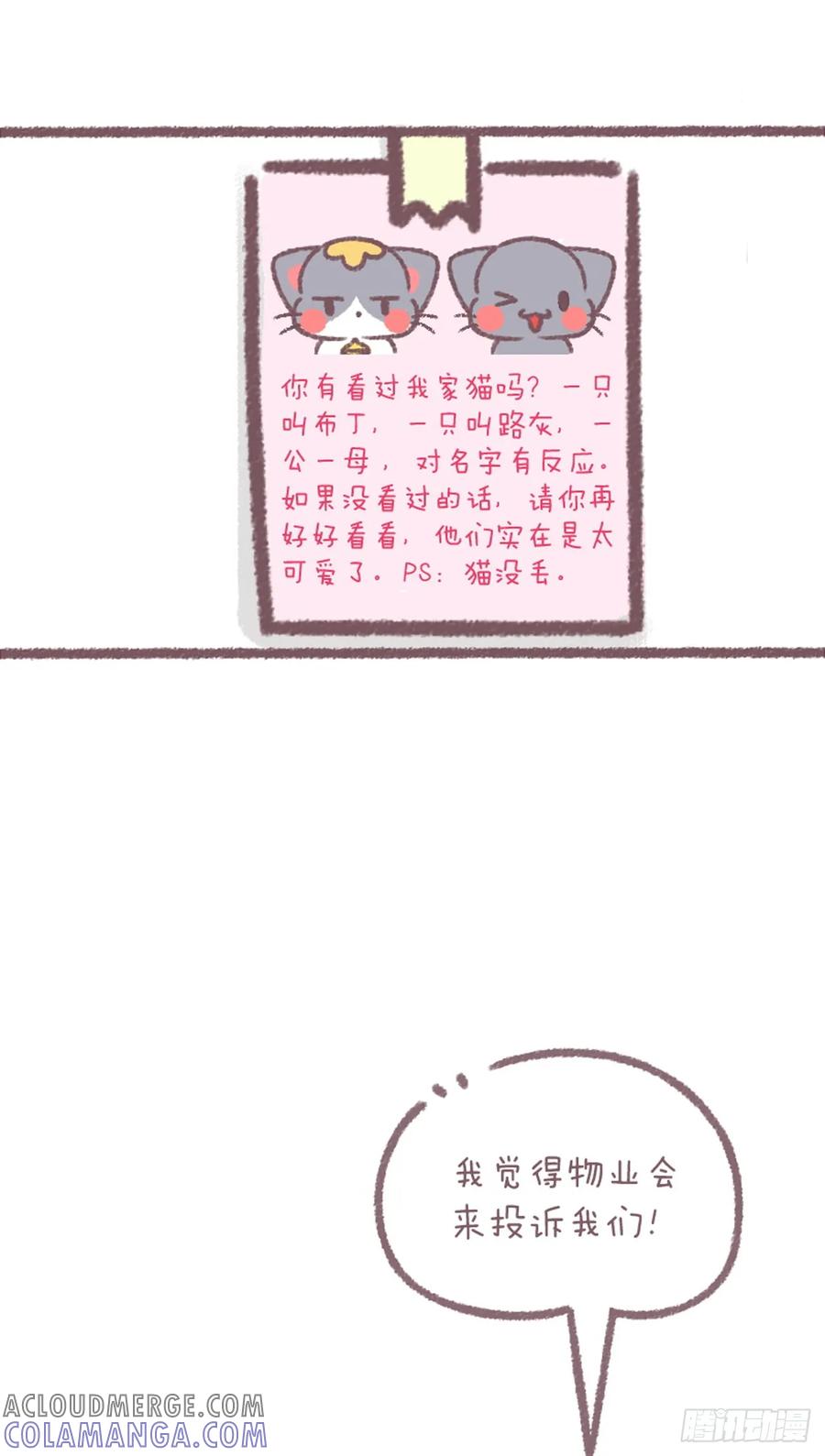 木木子漫画 寻猫启事 第4页