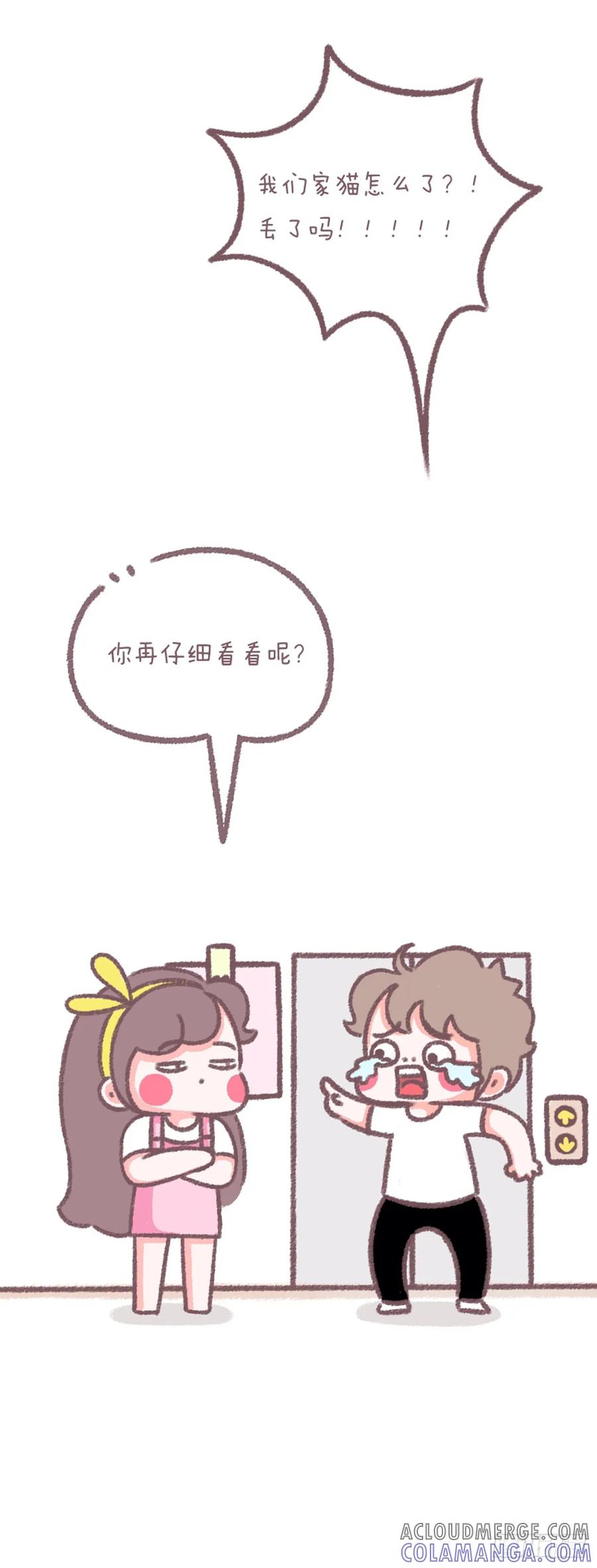 木木子漫画 寻猫启事 第3页