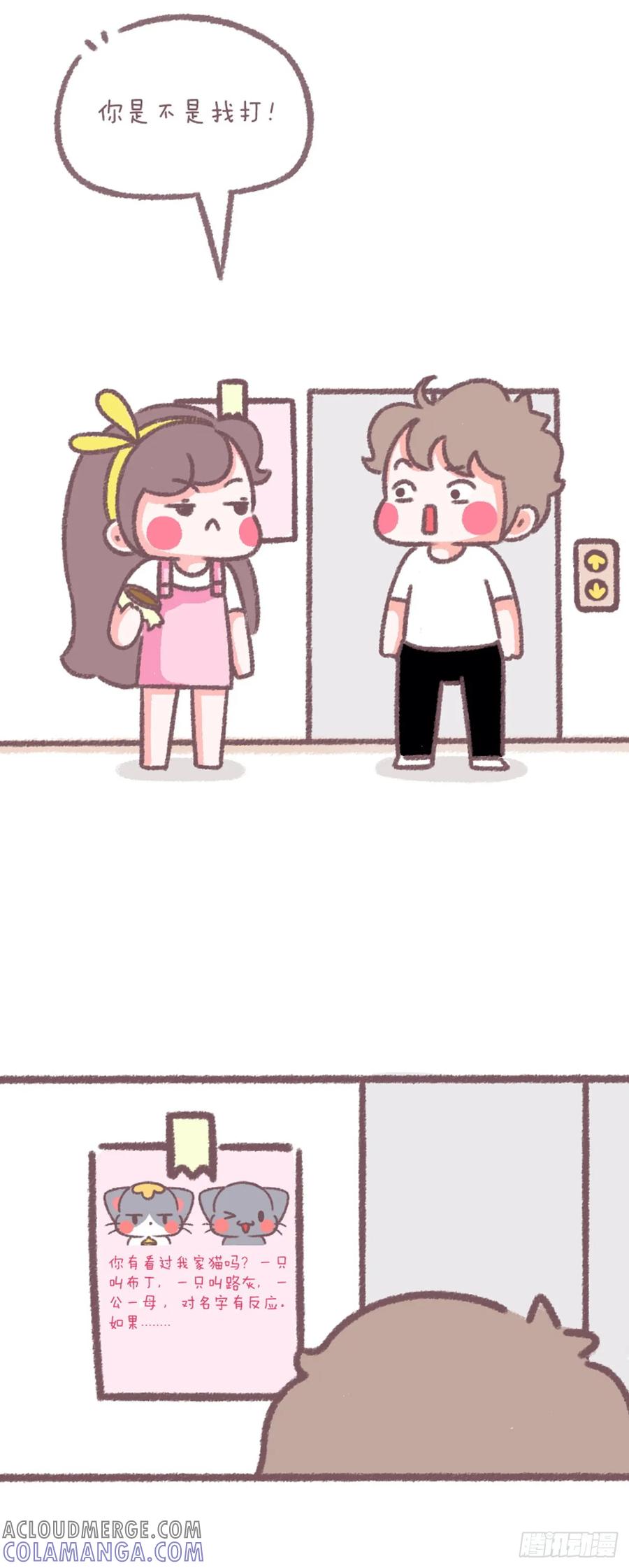 木木子漫画 寻猫启事 第2页