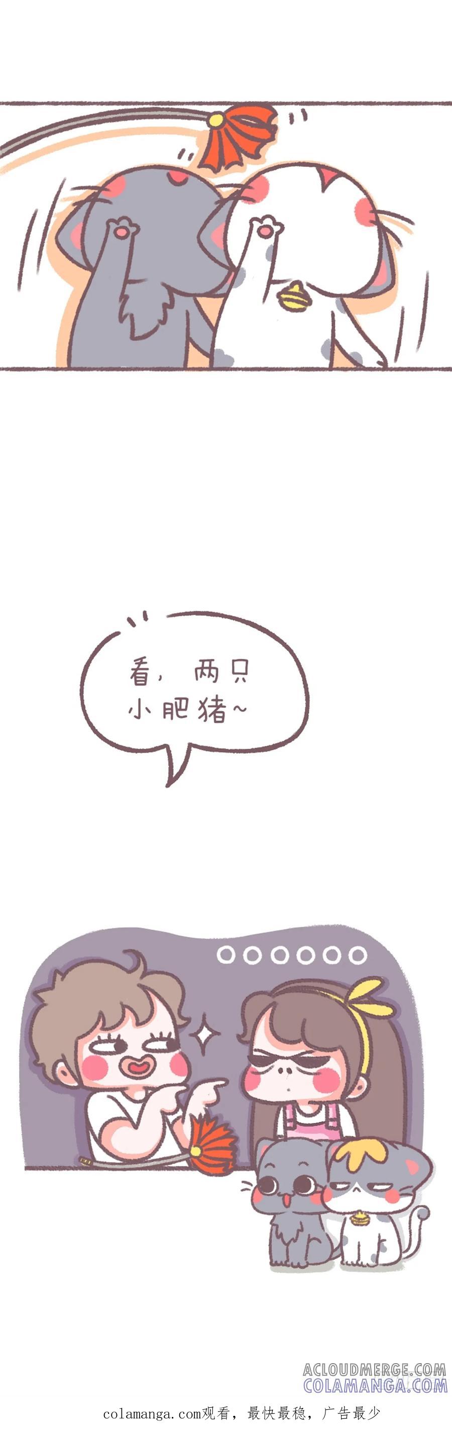 木木子漫画 肥猪召唤术 第3页