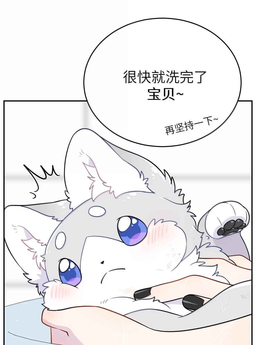 我的食物看起来很可爱 200 狼崽历险记（评论抽奖） 第38页