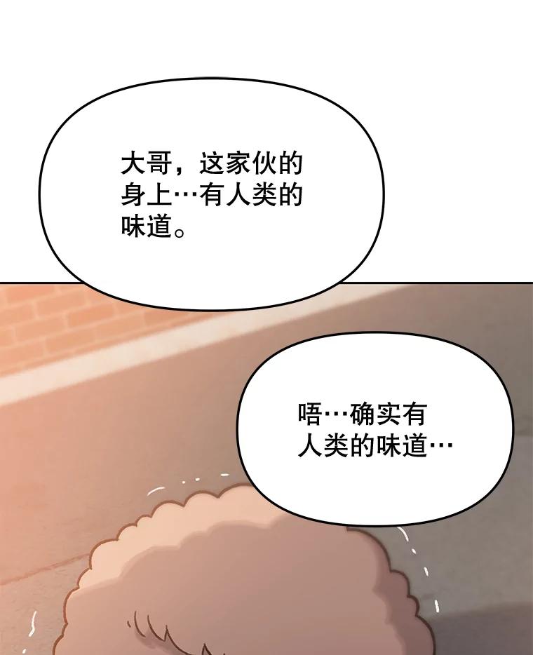 《彩虹桥守望者》25.流浪“狗”生 第33页