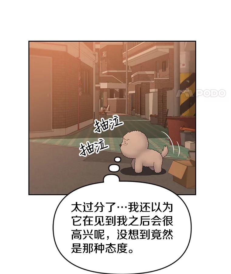 《彩虹桥守望者》25.流浪“狗”生 第27页