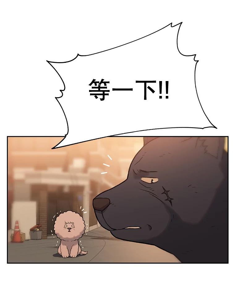 《彩虹桥守望者》25.流浪“狗”生 第36页