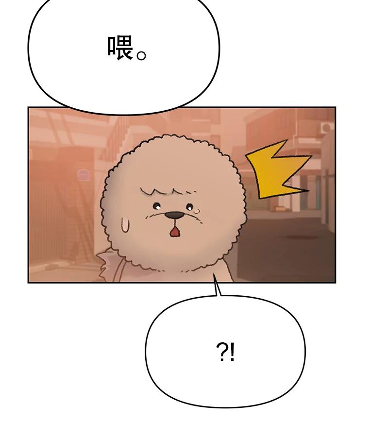 《彩虹桥守望者》25.流浪“狗”生 第29页