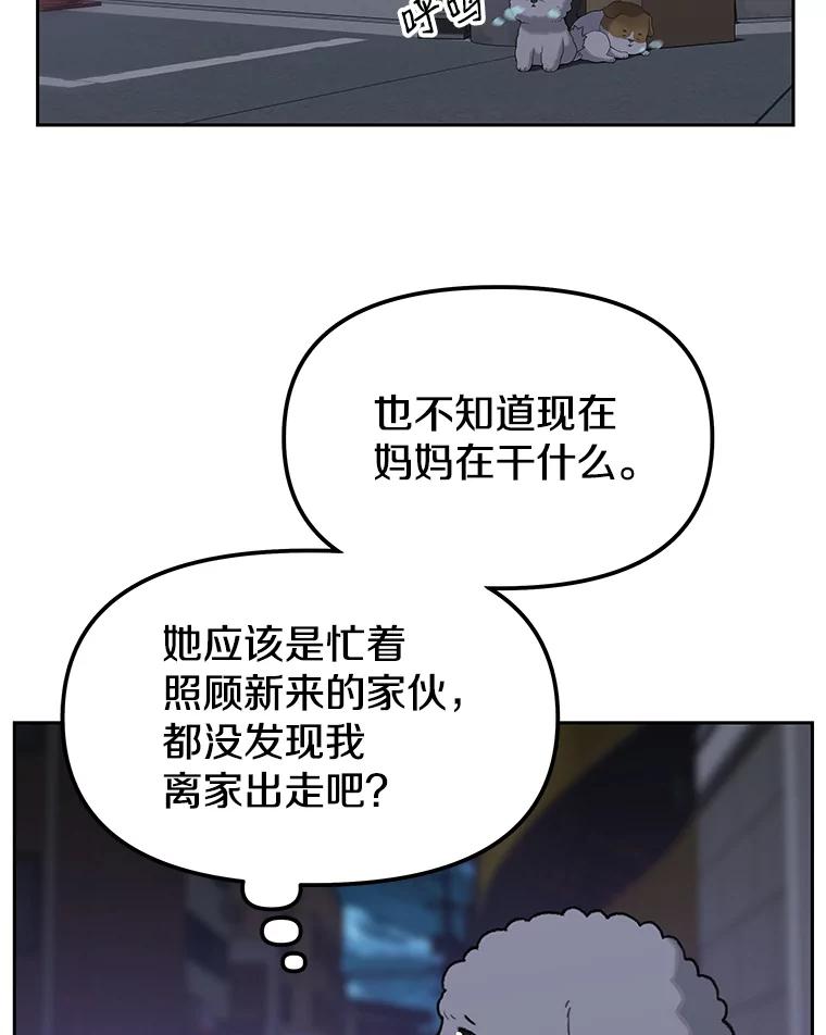 《彩虹桥守望者》25.流浪“狗”生 第57页