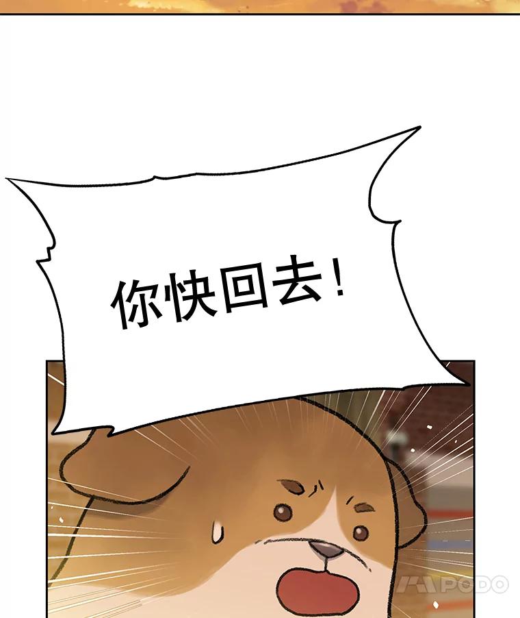 《彩虹桥守望者》25.流浪“狗”生 第12页
