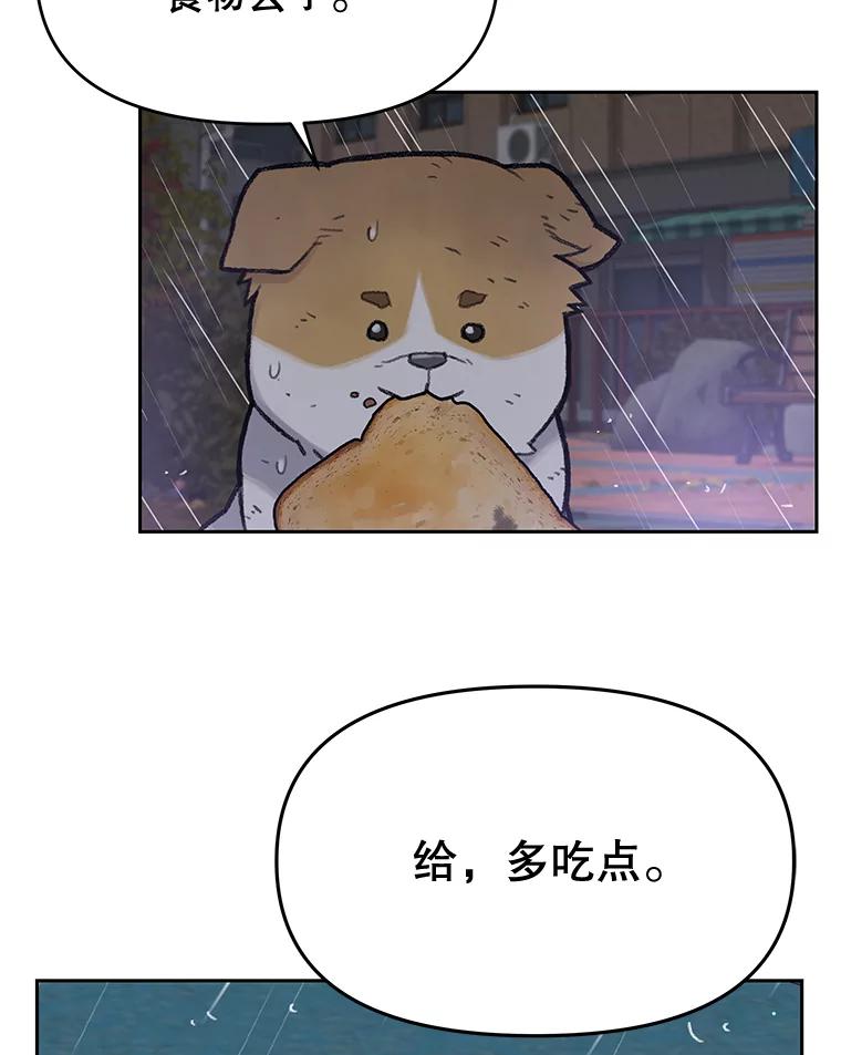《彩虹桥守望者》25.流浪“狗”生 第74页