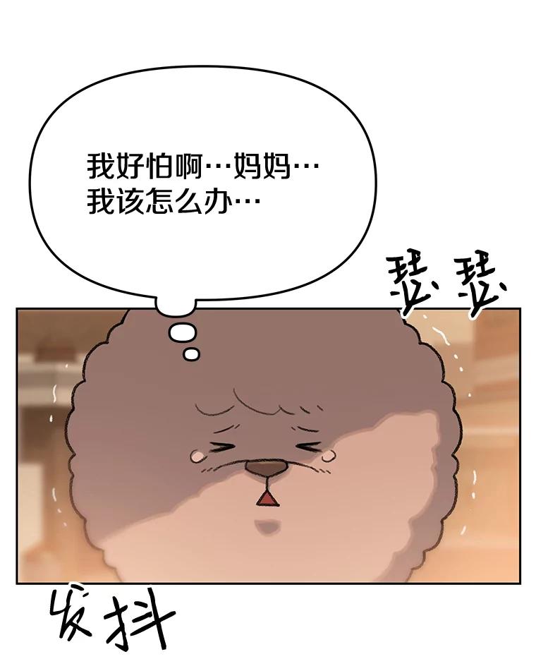 《彩虹桥守望者》25.流浪“狗”生 第35页