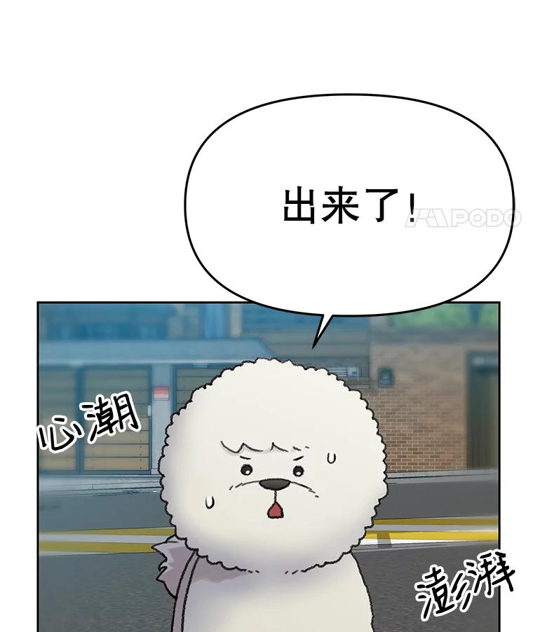 《彩虹桥守望者》25.流浪“狗”生 第9页
